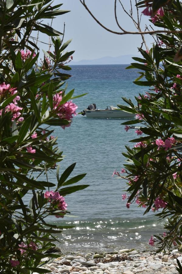 Seaside Home In Kardiani/Giannaki Bay - Agnes'S Home Buitenkant foto